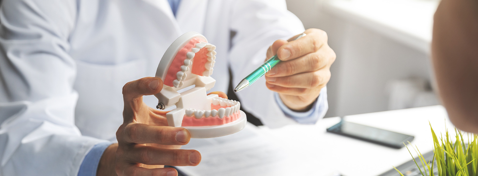 Mywisdom Dental | Dental Bridges, Oral Exams and Dental Fillings